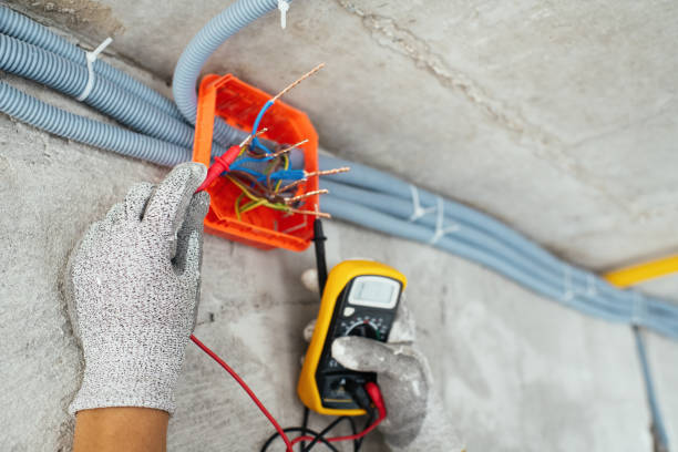 Best Electric Panel Repair  in Warsaw, MO